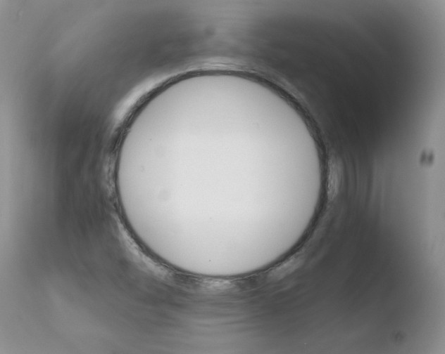 X0000110771454200906150942
