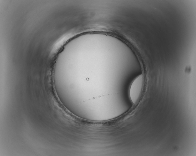 X0000110771455200906150942