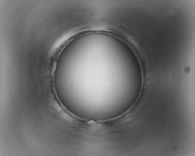 X0000110771456200906150942