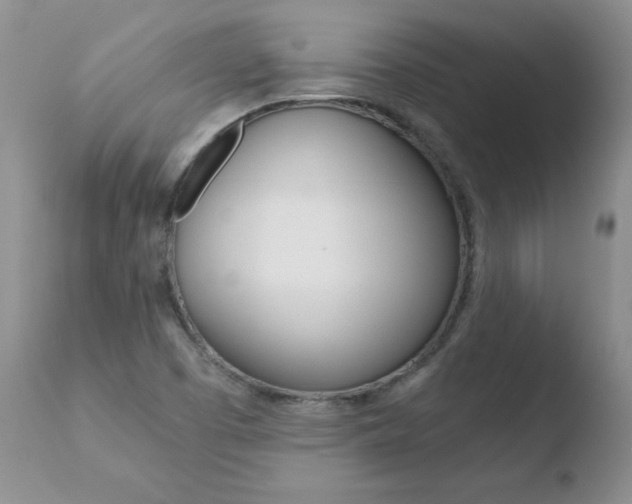 X0000110771457200906150942