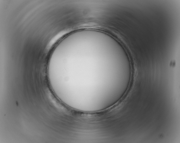 X0000110771458200906150942