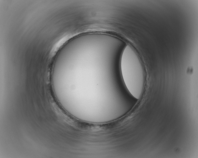 X0000110771459200906150942