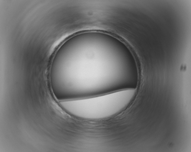 X0000110771460200906150942