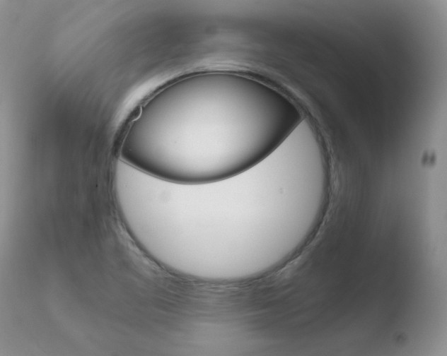 X0000110771461200906150942
