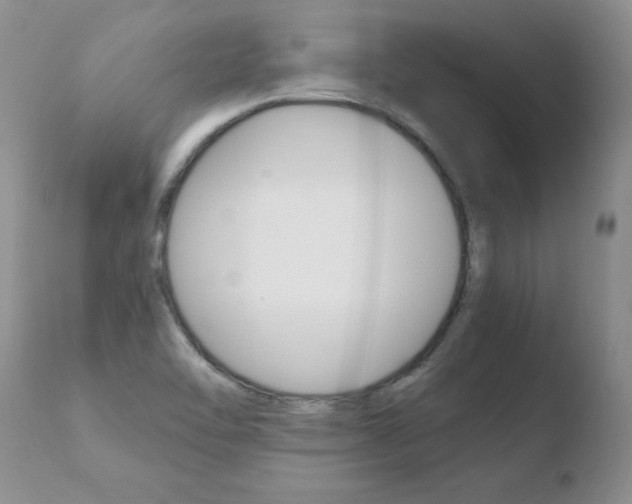 X0000110771462200906150942