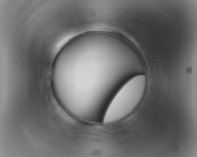 X0000110771463200906150942