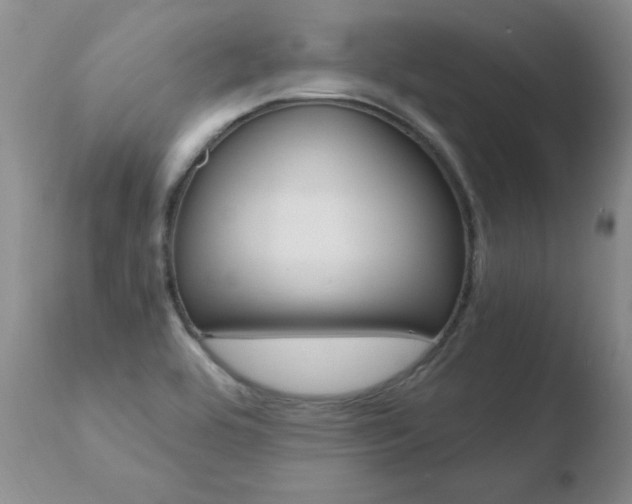 X0000110771464200906150942