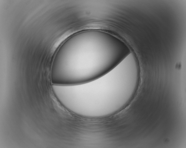 X0000110771465200906150942