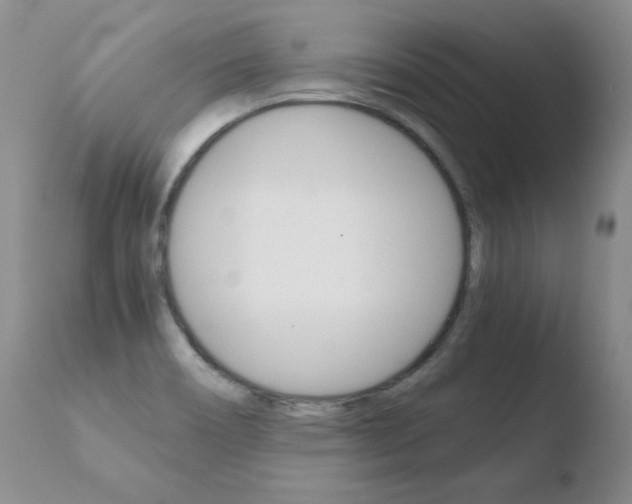 X0000110771466200906150942