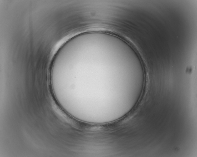 X0000110771467200906150942