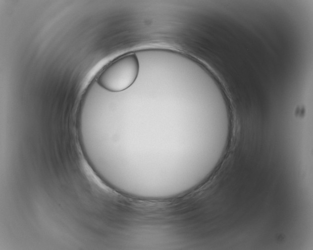 X0000110771468200906150942