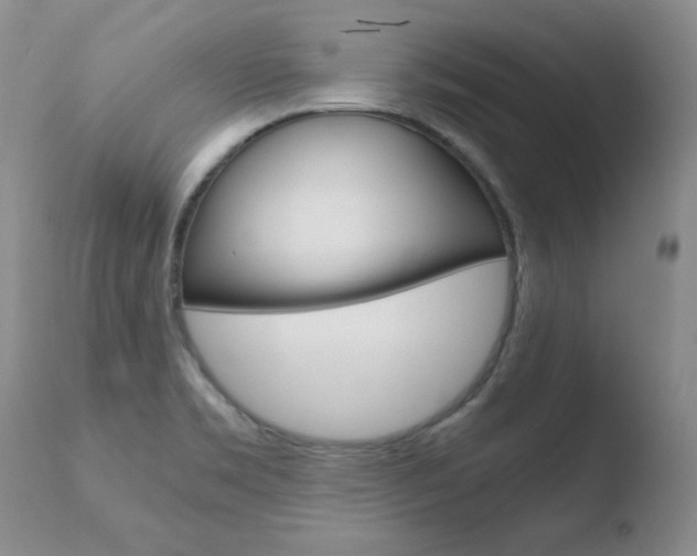 X0000110771469200906150942