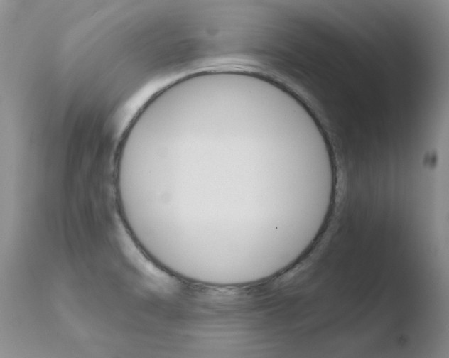 X0000110771470200906150942