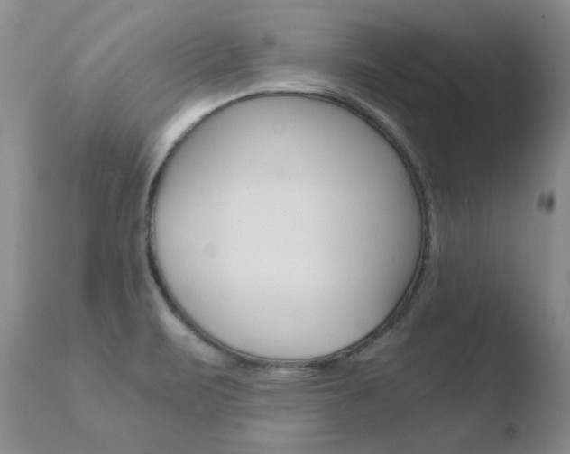 X0000110771471200906150942