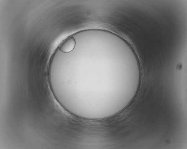 X0000110771472200906150942