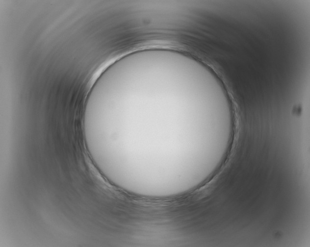X0000110771473200906150942