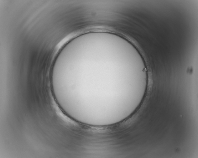 X0000110771474200906150942
