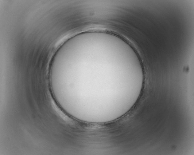 X0000110771475200906150942