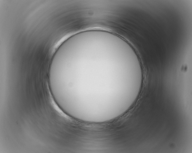 X0000110771476200906150942