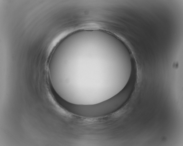 X0000110771477200906150942