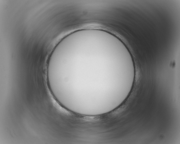 X0000110771478200906150942