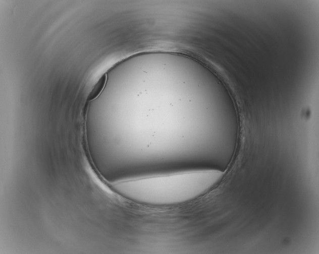 X0000110771479200906150942