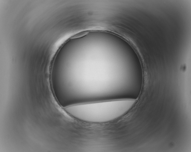 X0000110771480200906150942