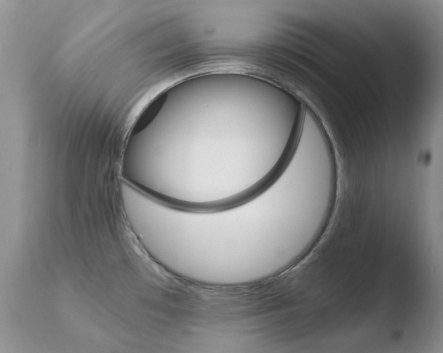 X0000110771481200906150942