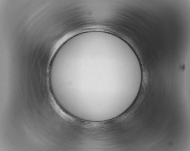 X0000110771482200906150942