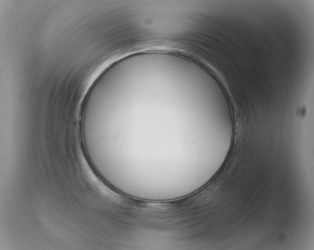 X0000110771483200906150942