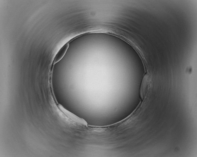 X0000110771484200906150942