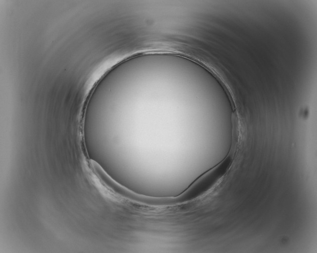 X0000110771485200906150942