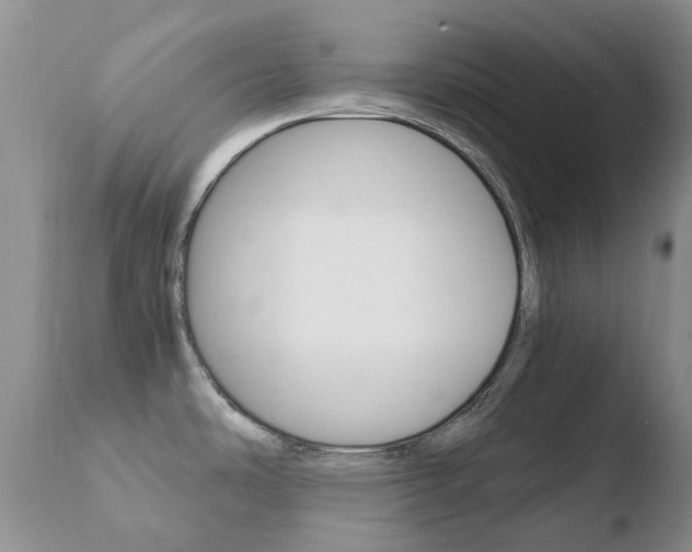 X0000110771486200906150942