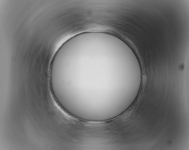 X0000110771487200906150942