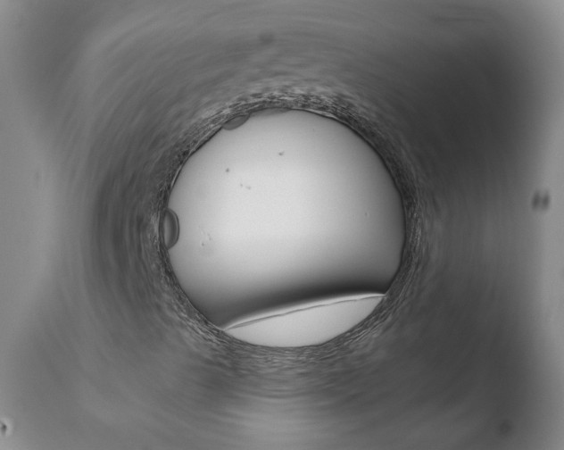 X0000110771489200906150941