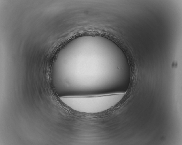 X0000110771490200906150941