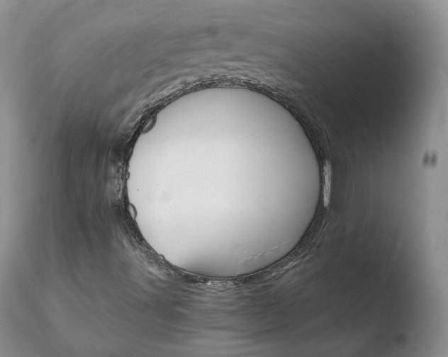 X0000110771491200906150941