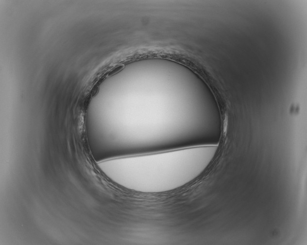 X0000110771492200906150941