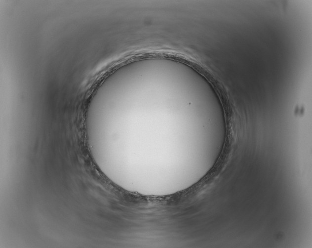 X0000110771494200906150941