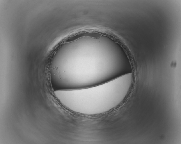 X0000110771496200906150941