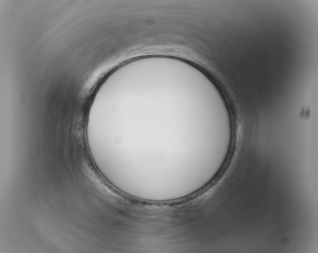 X0000110771498200906150941