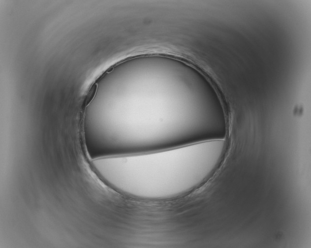 X0000110771500200906150941