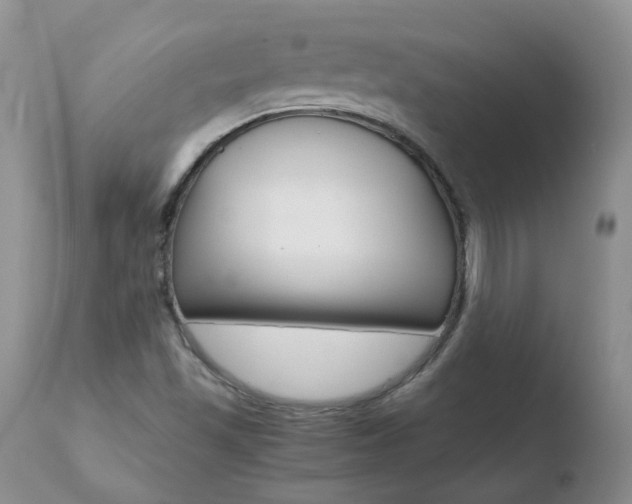 X0000110771501200906150941