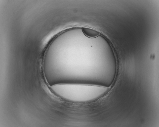 X0000110771503200906150941