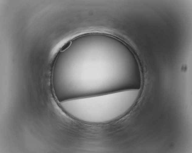 X0000110771504200906150941