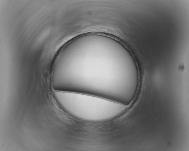 X0000110771505200906150941