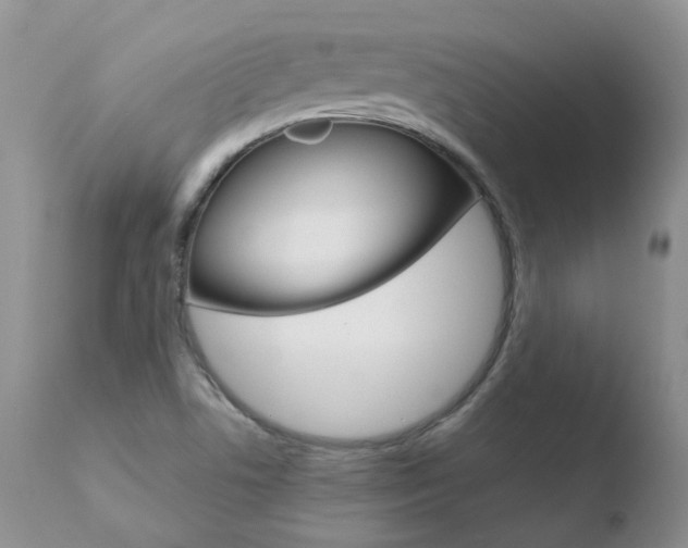 X0000110771506200906150941