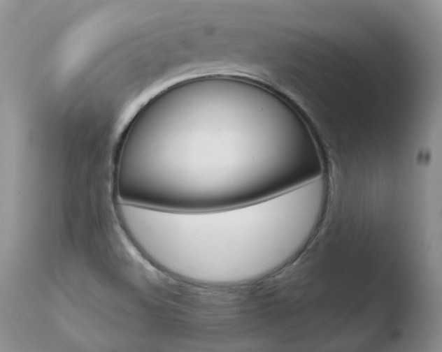 X0000110771508200906150941