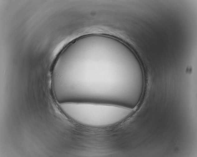 X0000110771509200906150941