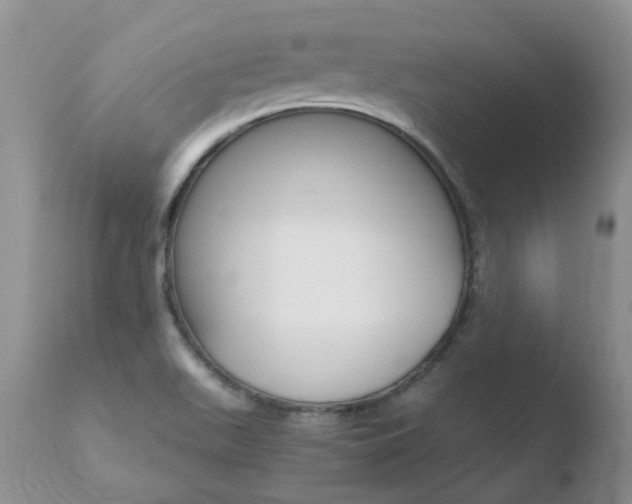 X0000110771511200906150941